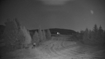 Snímek    14.7.2025 v 03:00