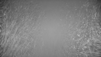 Snímek    13.11.2025 v 17:00