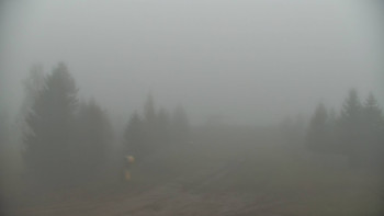 Snímek 17.11.2025 v 08:00