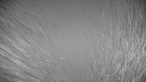 Ski areál Branná - Výstup z lanovky - 20.12.2025 v 01:00