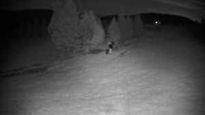 Ski areál Branná - Ski Branná - horní kamera - 15.6.2025 v 00:00