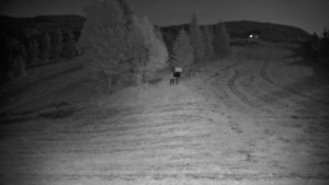 Ski areál Branná - Ski Branná - horní kamera - 14.7.2025 v 02:00