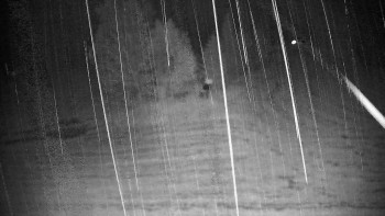 Snímek    15.7.2025 v 03:00