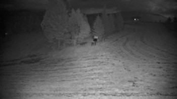Snímek    16.7.2025 v 03:00