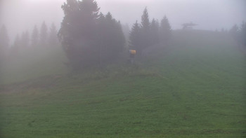Snímek    16.7.2025 v 05:00
