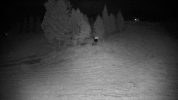 Snímek    31.7.2025 v 03:00