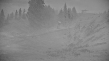 Snímek    14.9.2025 v 06:00
