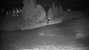 Ski areál Branná - Ski Branná - horní kamera - 17.9.2025 v 01:00