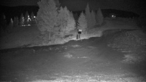 Ski areál Branná - Ski Branná - horní kamera - 18.9.2025 v 00:00