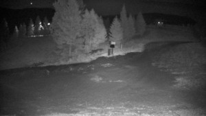 Ski areál Branná - Ski Branná - horní kamera - 18.9.2025 v 01:00