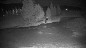 Ski areál Branná - Ski Branná - horní kamera - 18.9.2025 v 03:00