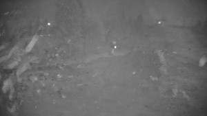 Ski areál Branná - Ski Branná - horní kamera - 5.11.2025 v 00:00