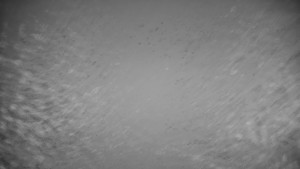 Ski areál Branná - Ski Branná - horní kamera - 5.11.2025 v 02:00