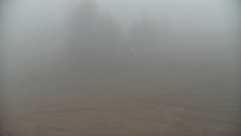 Snímek    13.11.2025 v 16:00