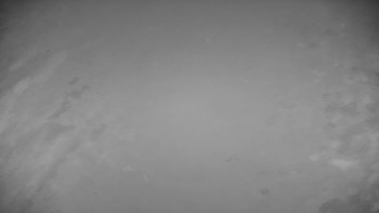 Snímek    14.11.2025 v 04:00