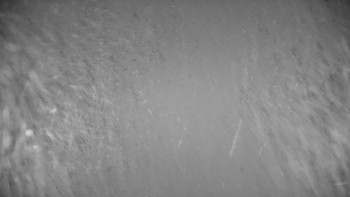 Snímek    14.11.2025 v 05:00