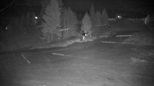 Ski areál Branná - Ski Branná - horní kamera - 16.11.2025 v 03:00 Ski areál Branná - Ski Branná - horní kamera - 16.11.2025 v 03:00