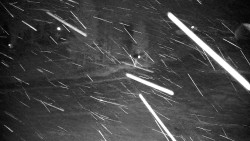 Ski Branná - horní kamera