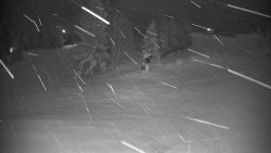 Ski Branná - horní kamera