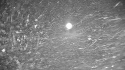 Ski Branná - horní kamera