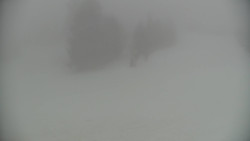 Ski Branná - horní kamera