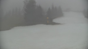 Ski areál Branná - Ski Branná - horní kamera - 11.12.2025 v 11:00