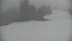 Ski areál Branná - Ski Branná - horní kamera - 11.12.2025 v 12:00