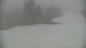 Ski areál Branná - Ski Branná - horní kamera - 11.12.2025 v 13:00