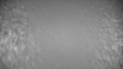 Ski Branná - horní kamera