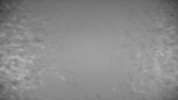 Ski Branná - horní kamera