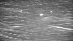 Ski Branná - horní kamera