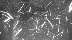 Ski Branná - horní kamera