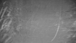 Ski Branná - horní kamera