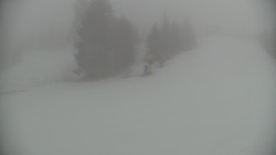 Ski Branná - horní kamera