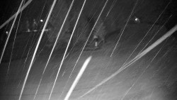 Ski Branná - horní kamera