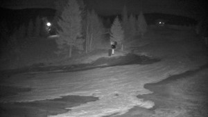 Ski areál Branná - Ski Branná - horní kamera - 25.3.2026 v 01:00 Ski areál Branná - Ski Branná - horní kamera - 25.3.2026 v 01:00