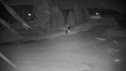 Ski Branná - horní kamera