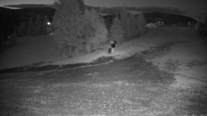 Ski areál Branná - Ski Branná - horní kamera - 16.6.2026 v 03:00