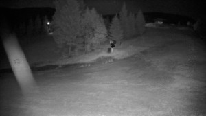 Ośrodek narciarski Branná - Ski Branná – górna kamera - 24.6.2026 v 02:00 Ośrodek narciarski Branná - Ski Branná – górna kamera - 24.6.2026 v 02:00
