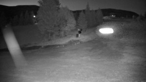 Ośrodek narciarski Branná - Ski Branná – górna kamera - 24.6.2026 v 03:00 Ośrodek narciarski Branná - Ski Branná – górna kamera - 24.6.2026 v 03:00