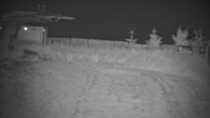 Ski areál Branná - Červená sjezdovka Jednička - 7.7.2025 v 02:00