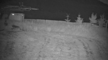 Snímek    14.7.2025 v 03:00