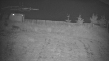Snímek    16.7.2025 v 03:00