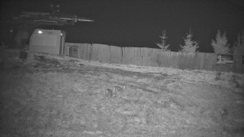 Snímek    15.9.2025 v 05:00
