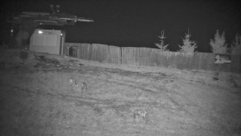 Snímek    15.9.2025 v 22:00