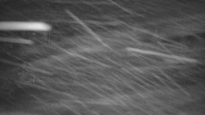 Ski areál Branná - Červená sjezdovka Jednička - 30.12.2025 v 02:00