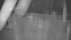 Červená sjezdovka Jednička