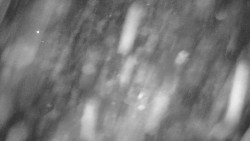 Červená sjezdovka Jednička