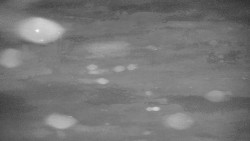 Červená sjezdovka Jednička