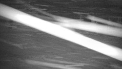 Červená sjezdovka Jednička